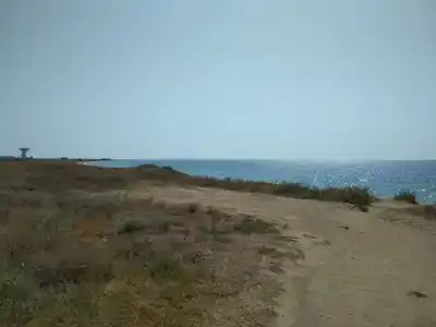 Лукоморье - 43