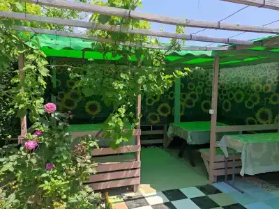 Лукоморье - 31