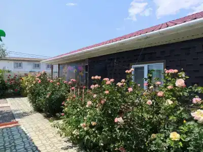 Лукоморье - 17