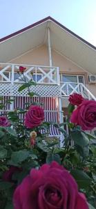 Лукоморье - 0