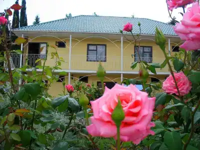 Пансионат Орхидея - 3