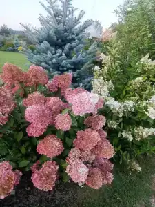 Очень уютный коттедж в черте города - 26