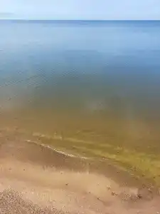 Дом с видом на Чудское озеро - 20