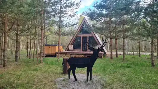 Глэмпинг Ёлкино За Палкино - 0