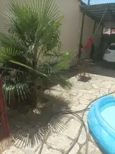 Частный дом рядом с морем - 2