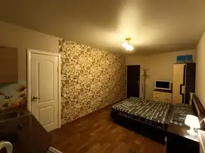 Ясень - 1