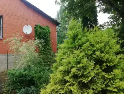 Уютный дом у Можайского моря - 22