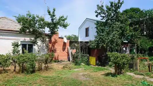 Тани - 4