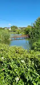 Дома на берегу озера - 57