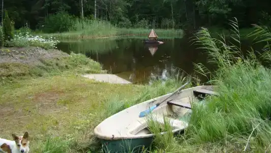 Дом на берегу речки Тихой - 6