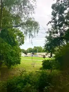 Лесопильная 60 - 19