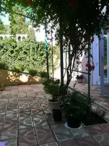 Эдельвейс - 3
