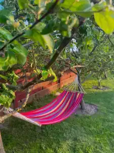 Усадьба у Захара - 3