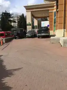 Новая Заря - 20