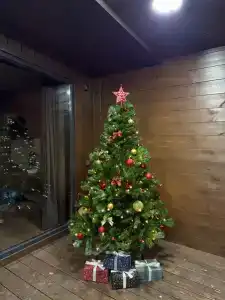 NS house - 26