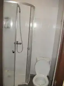 Роза - 3