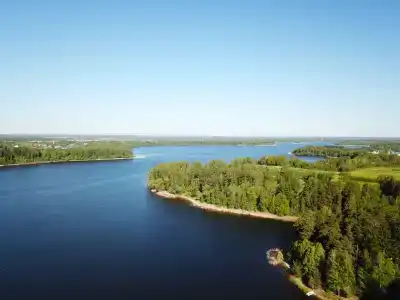 Вишня - 21
