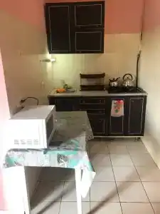 Кипарис - 10