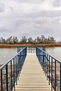 Ботаники - 8