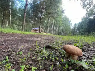 Глэмпинг с баней и горячим чаном - 25