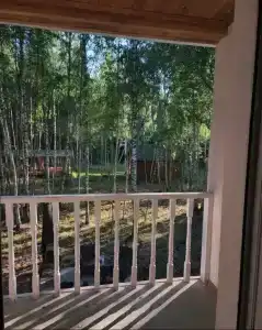 В гостях у леса - 29