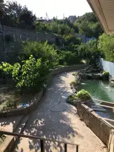Сердце Природы - 7