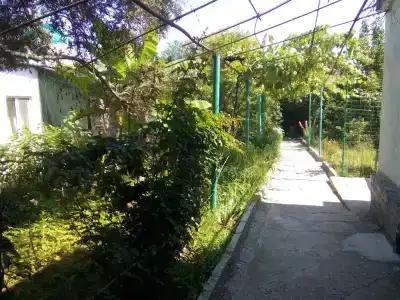 Домик у моря - 15