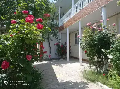 Мелодия Джубги - 0
