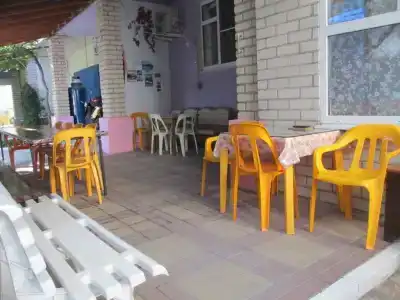 Ника - 5