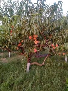 Вдохновение - 32