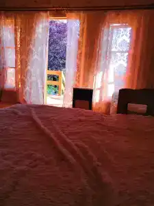 Роза - 2