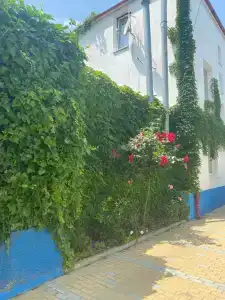 Городской дворик на Гоголя 21 - 5