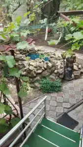 Александровский сад у моря - 11