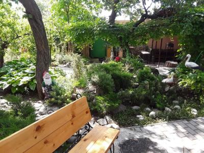 Сад_Оазис - 7