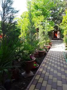 Сад_Оазис - 8