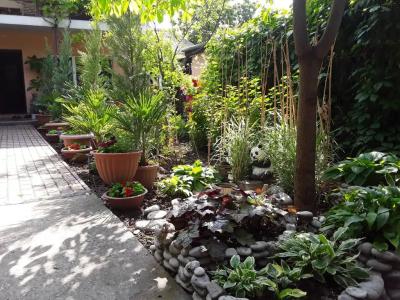 Сад_Оазис - 10