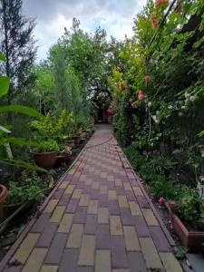 Сад_Оазис - 2