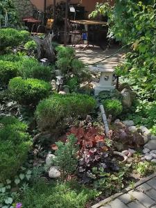 Сад_Оазис - 4