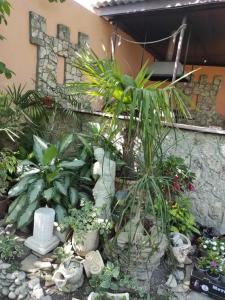 Сад_Оазис - 5