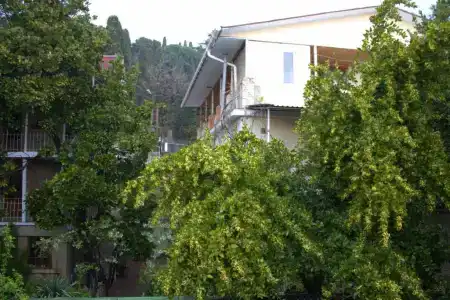 Радмир - 22