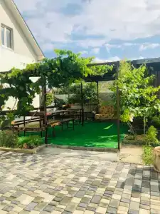 Oliva - 1