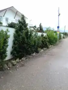 Атлантика-2 - 0