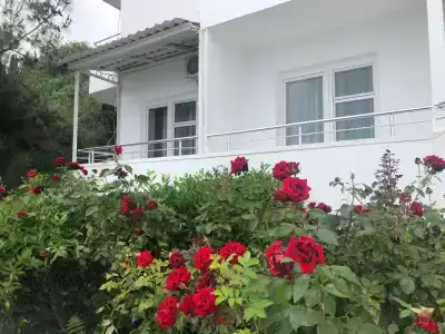 Крымский Берег - 2