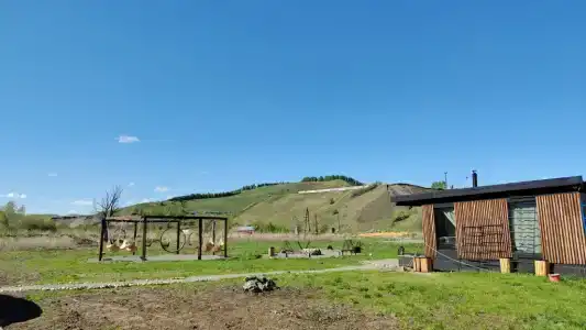 Клен - 124
