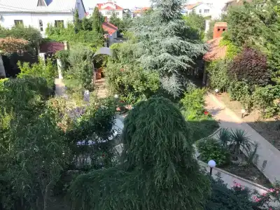 Море солнца - 2