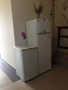 Аист - 2