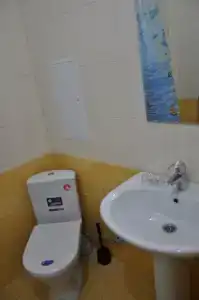 Аист - 1