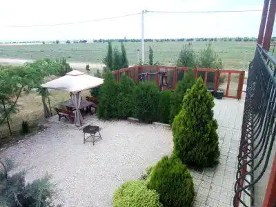 Лавандина - 3