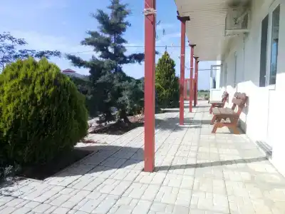 Лавандина - 4