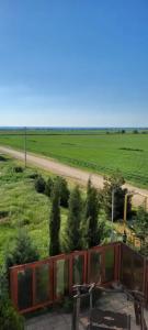 Лавандина - 7